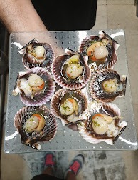 Imgi 19 AG0ilSzD0Sd02qx7AFzaY P2a1TIOCR026yMDtJ6YOgx5 59S53bL5mlPISfpKb2K AaQwit2GEHWnQJey9DKirZG49qup SPd9jY1taDAVfW5iAxwx1aAlh63Tup328Ro8gBRwQl6AtIAw194 H252 P K No